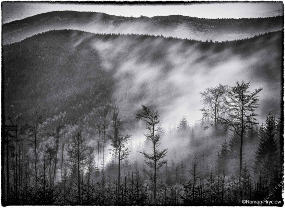 Beskid Śląski, Dolina Zimnika 1997