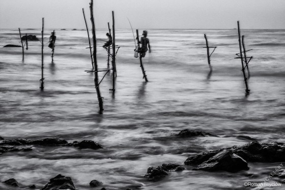 Ludzie czaple, Sri Lanka 2010